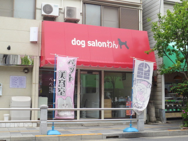 ＭＡＨＡＬＯ　ＭＡＩＳＯＮのその他|ｄｏｇｓａｌｏｎわん
