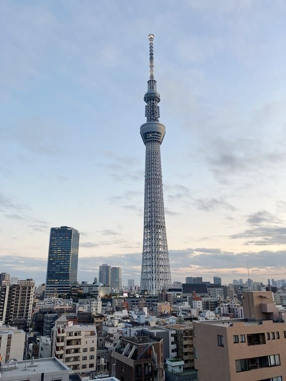 パークホームズ隅田桜橋の展望