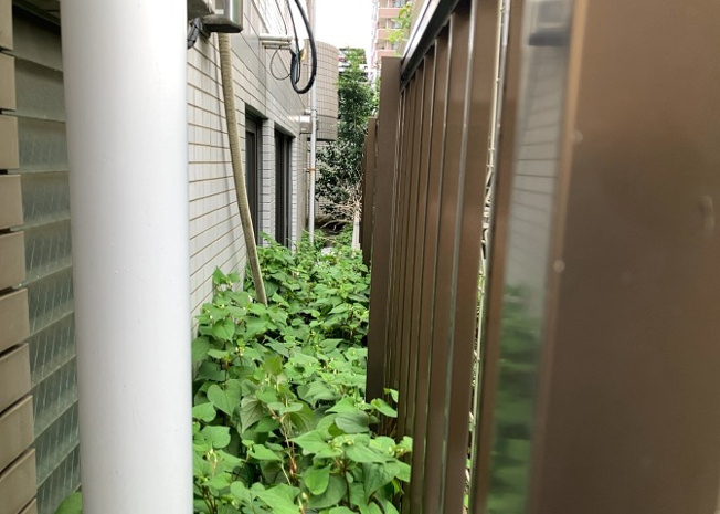 【中庭】 | ワコーレ町田 | 中庭（パティオ）とは、一つの建築物の内部に設けられた、壁などで囲われている庭のことを指します。コの字型、ロの字型が主流ですが、L字型の中庭もあります。最近では、インテリア性の高さからも人気があります。