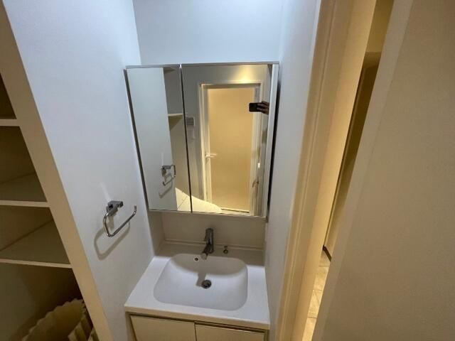 ドムス・スタイル押上の洗面所