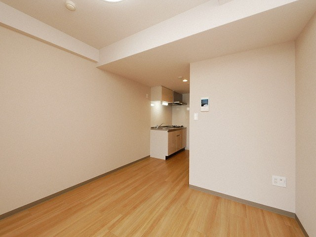 ドムス吉田の居間・リビング