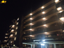 レーベンハイム古河プリームスフォルツァの画像