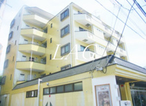 中央林間カワノインの画像