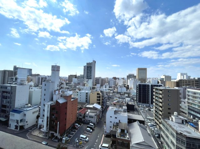 アルファステイツ西川緑道公園の展望|西側バルコニーからの眺望です。