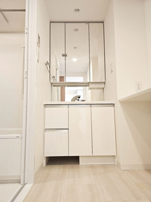 【独立洗面台】 | アルファスマート上乃木Ⅱ