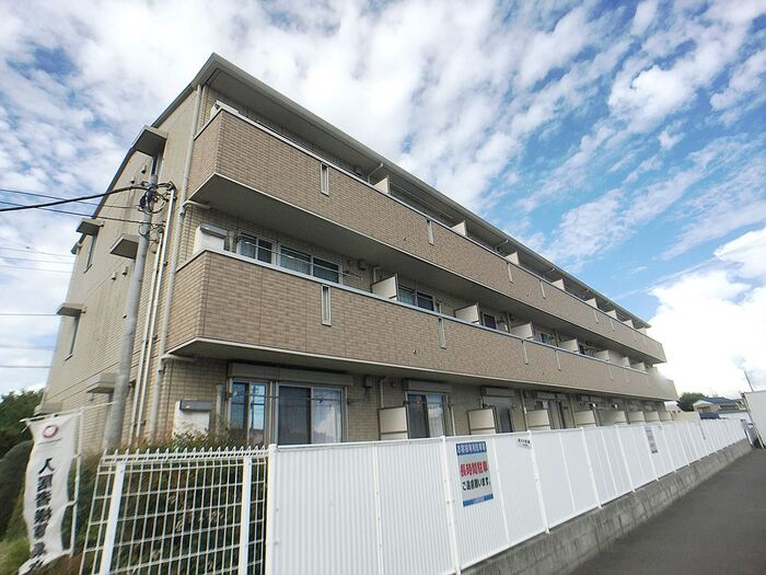 ＦＯＲＥＳＴ ＷＩＮＤ