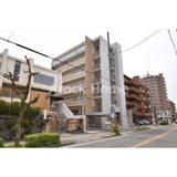 ウィル猫洞の画像