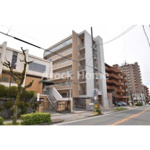 ウィル猫洞の画像