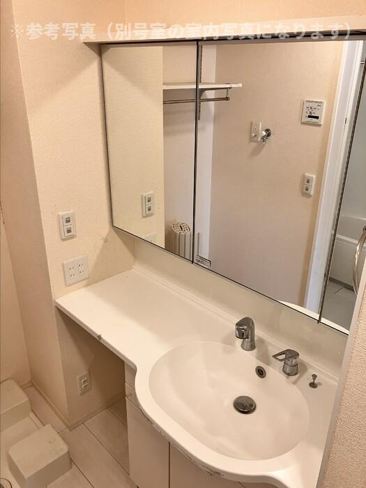 メゾン柚子の洗面所