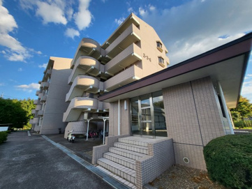 サクラファミリアの画像