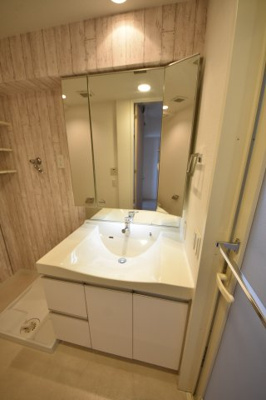 【独立洗面台】 | ワコーレ元町山手I.D.