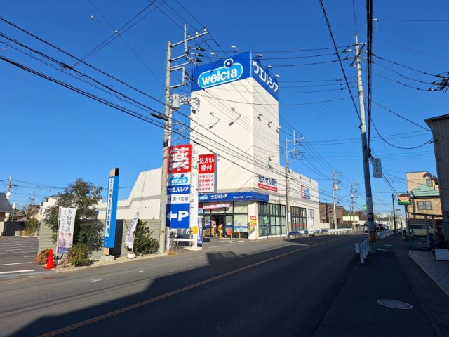 グレースの周辺