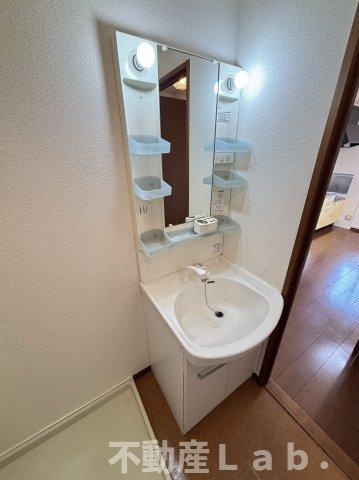 マウンテンクレストヒロの洗面所