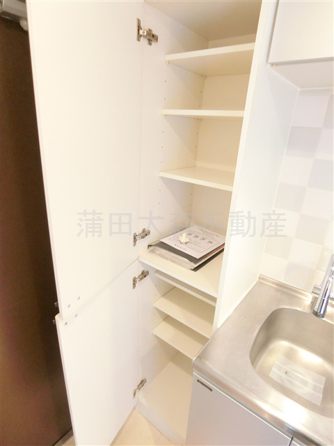 ブライズ大森町の設備|玄関収納　シューズBOX