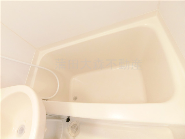 ブライズ大森町の浴室