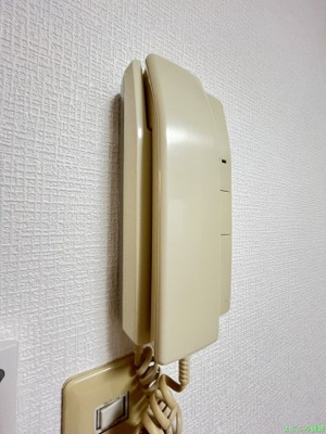 【セキュリティ】 | トレヴィの泉