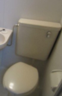 【トイレ】 | ライフピアセルリアン