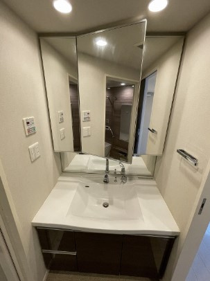 ガーラ・グランディ北池袋の洗面所