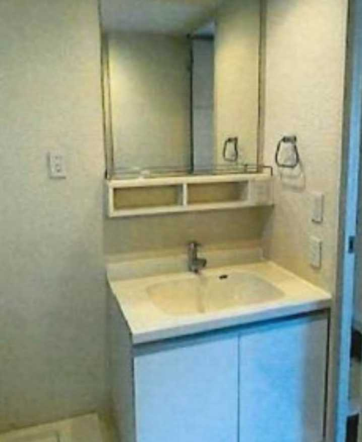 リテラス三軒茶屋　ペット相談可　敷金0礼金0　オートロックの洗面所