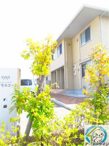 エクセルコート