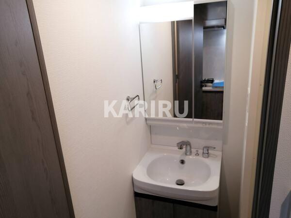 レジュールアッシュOSAKA新深江の洗面所