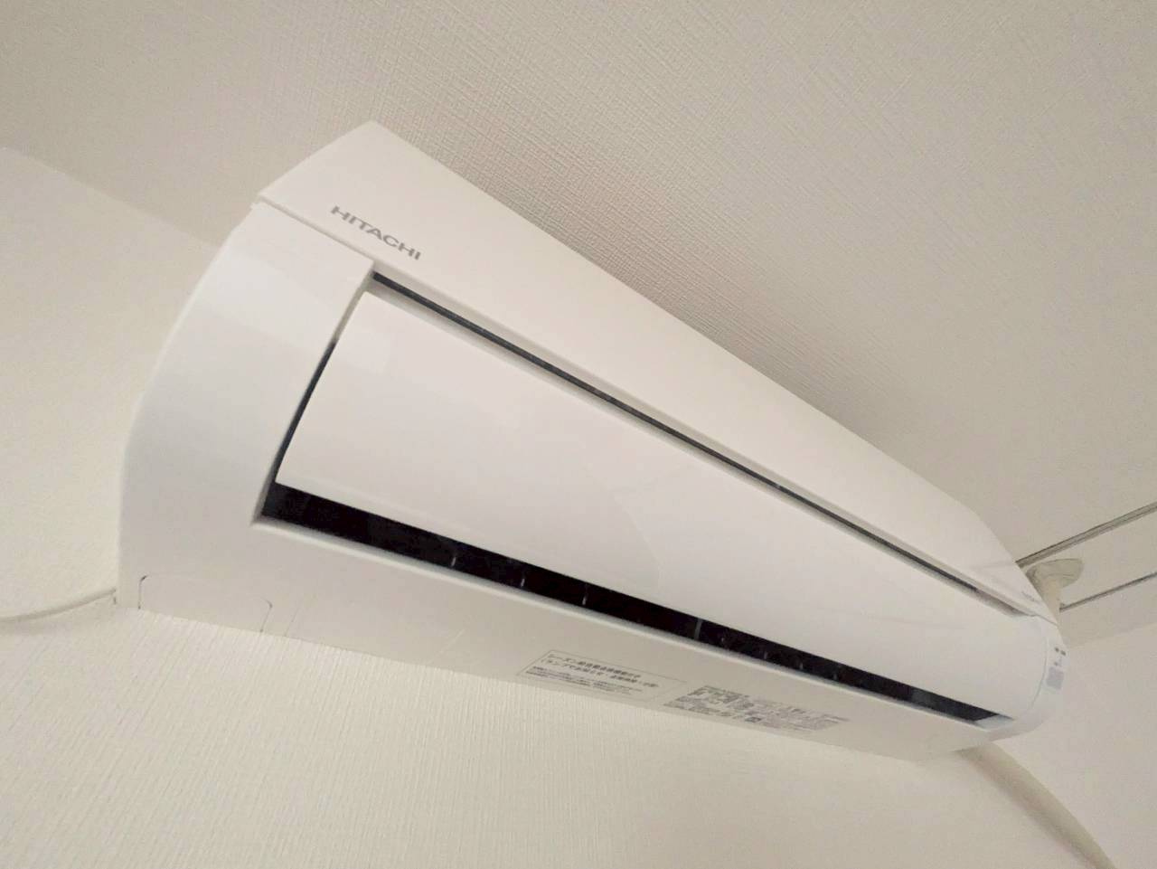 横浜コスタセイスのその他