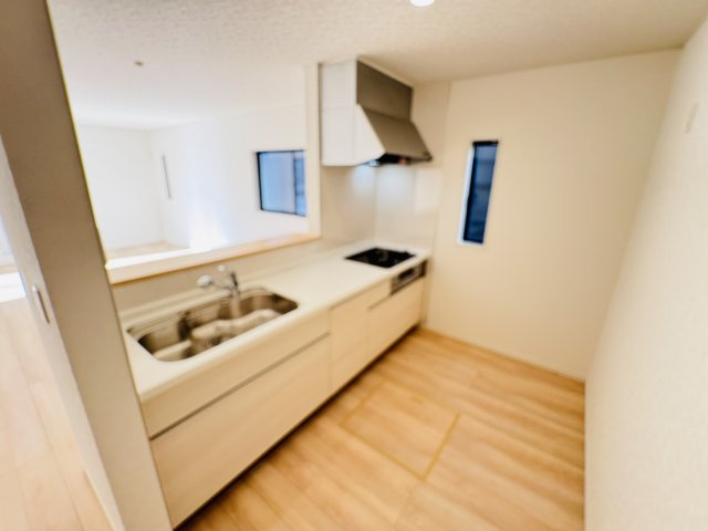 柏市布施新町４丁目新築戸建（布施新町第３）のキッチン|広々システムキッチン・シンクの水栓には浄水器がついてます！