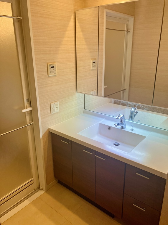 パークシティ柏の葉キャンパス二番街ミッドタワーＤ棟の洗面所