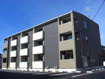 ロリエ　Ｂの画像