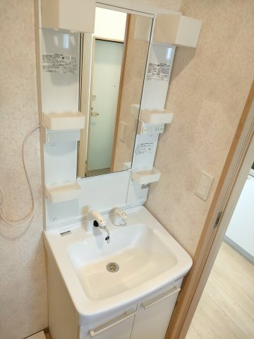 ラフィネY新河岸の洗面所