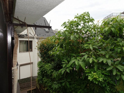 【その他】 | 蛇崩荘