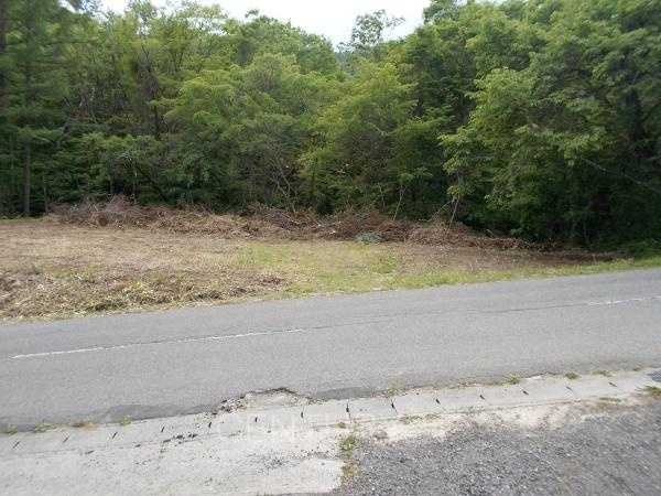 利根郡片品村大字花咲土地の前面道路含む現地写真