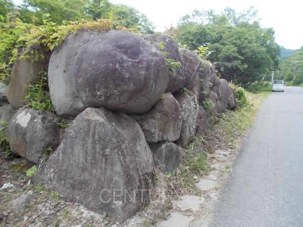 利根郡片品村大字花咲土地のその他