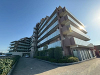 ミオカステーロ北越谷の画像