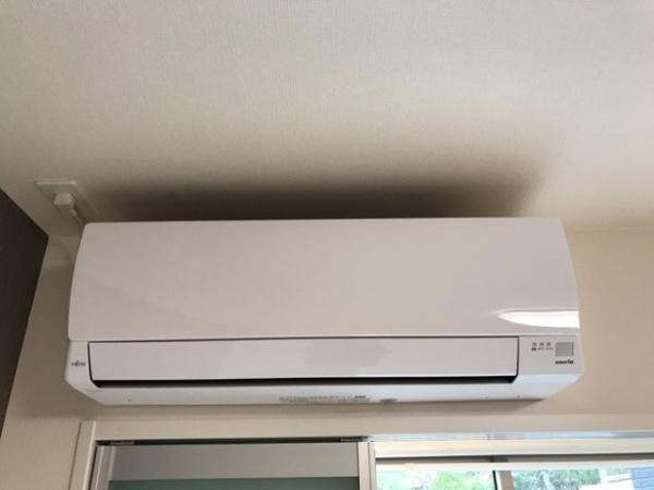 アンジェリーナのその他