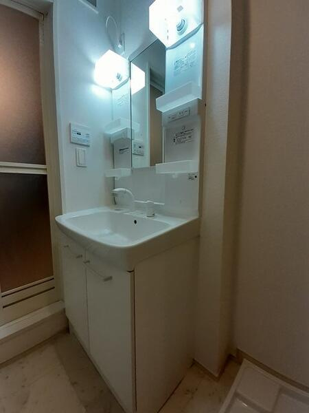 ヴィラプレジールの洗面所