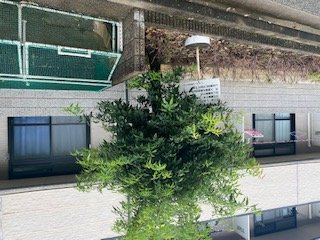 【その他】 | レオパレス日生ひがし | ゴミ置き場です。