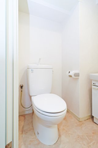 サヴォイレジェント　6階のトイレ|別号室のものです。現状優先になります。