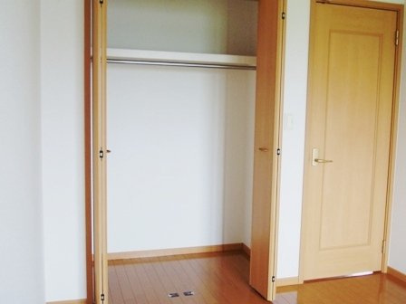 ミネルヴァのその他