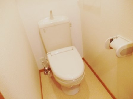 ミネルヴァのその他