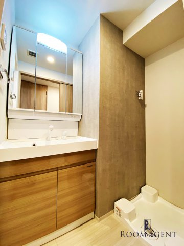 S-RESIDENCE烏森aureate(オリート)の洗面所