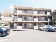 マローネの画像