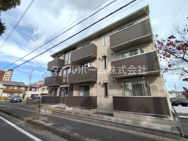 マリーゴールド　B