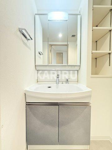 ソルテラス本庄西クレアストの洗面所