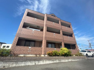 シャイン・アシューレの画像