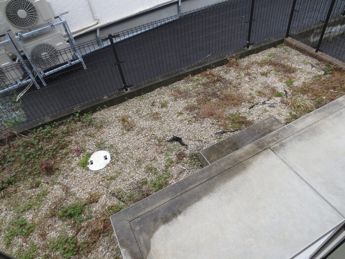 Sekuto B棟の庭|お庭付きです☆