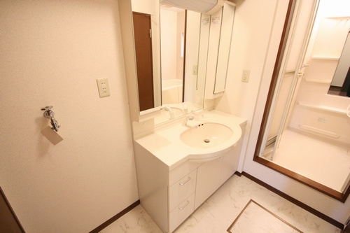 ドルフ桜丘2の洗面所