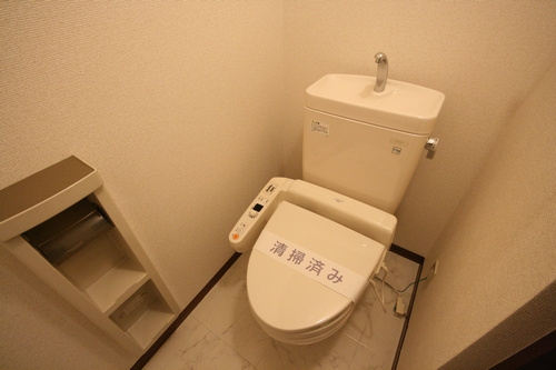 ドルフ桜丘2のトイレ