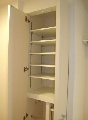 エステムプラザ難波EASTIIブレストの収納|エステムプラザ難波ＥＡＳＴIIブレスト　下足入れ