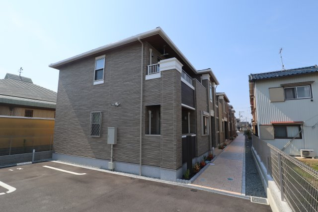 プレアデス光の外観